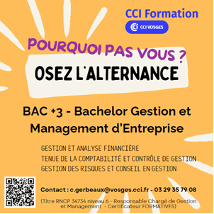 Formation Bachelor Gestion et management d’entreprise