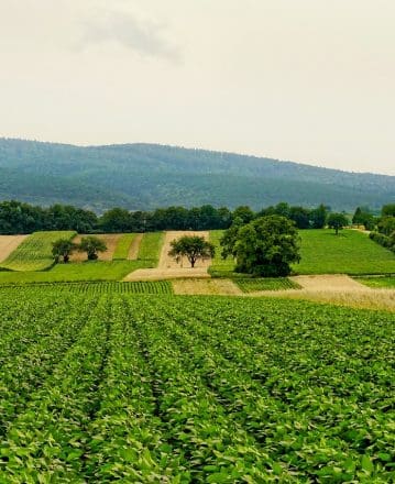 Découvrez les métiers de l’agriculture avec l’ANEFA/FDSEA des Vosges !